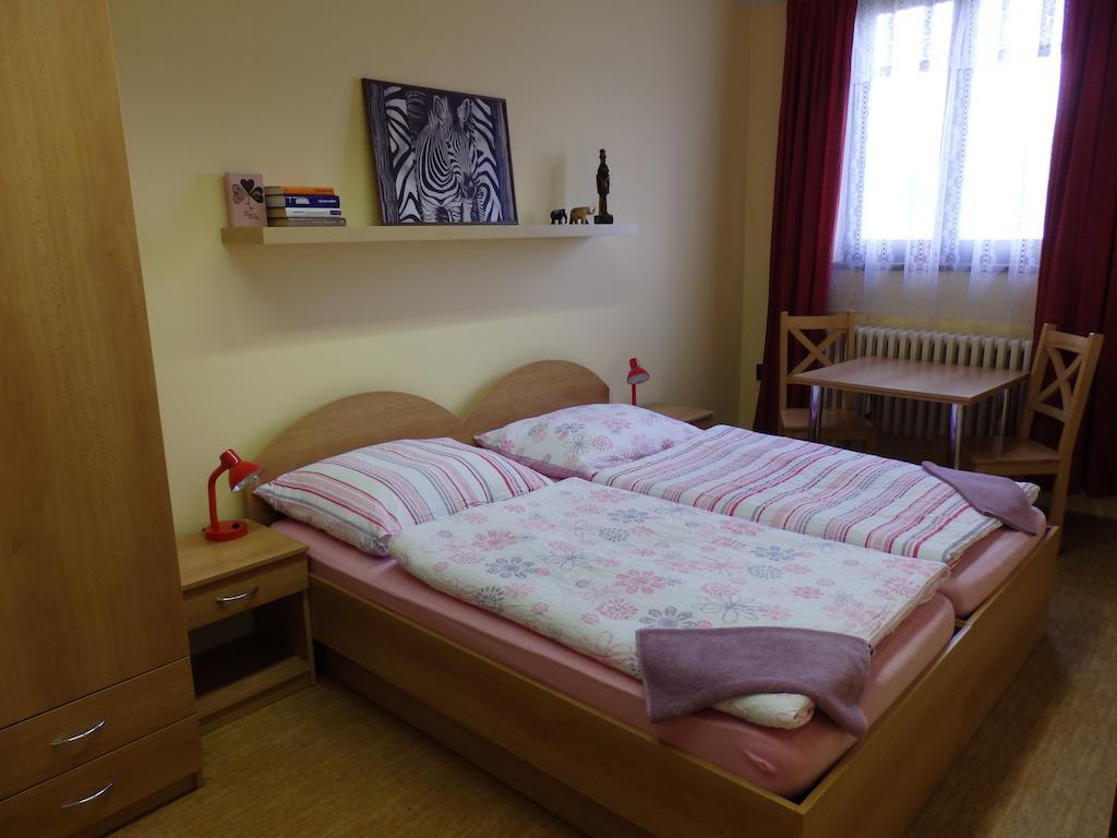 Penzion Janovice Janovice nad Úhlavou Zimmer foto
