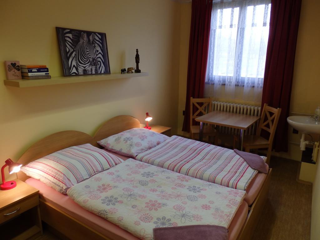 Penzion Janovice Janovice nad Úhlavou Zimmer foto